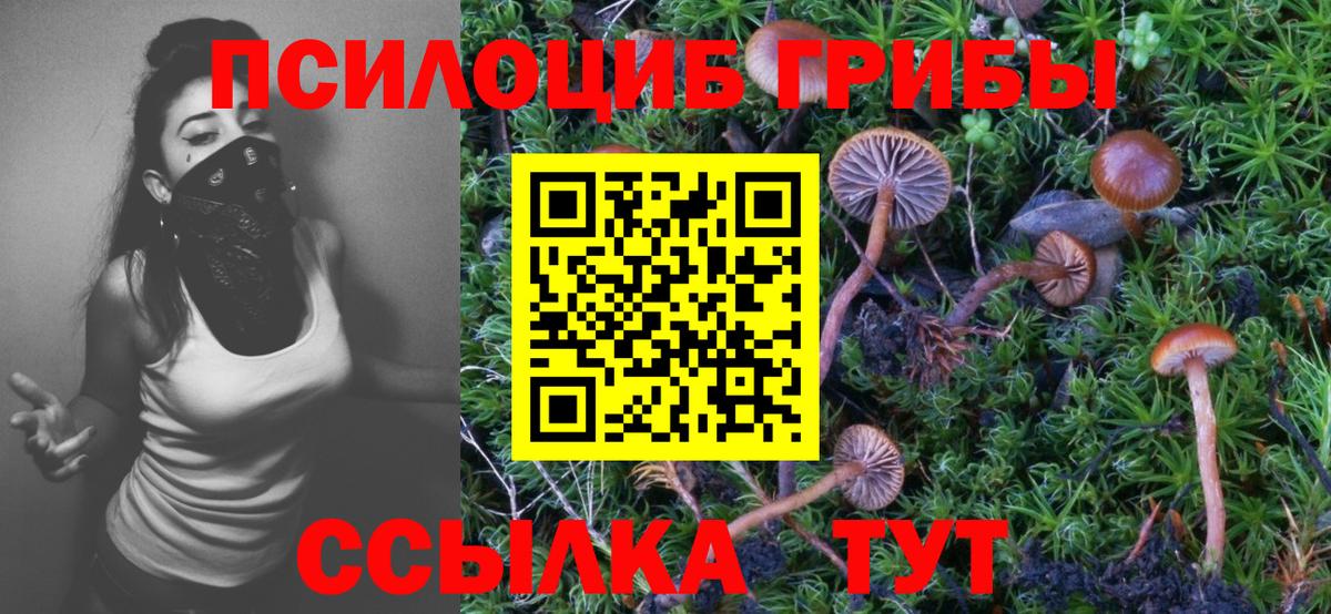 Ковров  где найти наркотики  Вход с VPN  Псилоцибиновые грибы Cubensis 